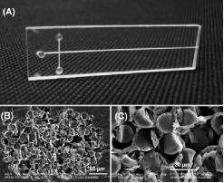 典型的纖維電泳微芯片的照片和玻璃纖維包裝的微通道的橫截面的SEM圖像。