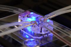 細胞生物學微細加工技術 細胞生物學微細加工技術