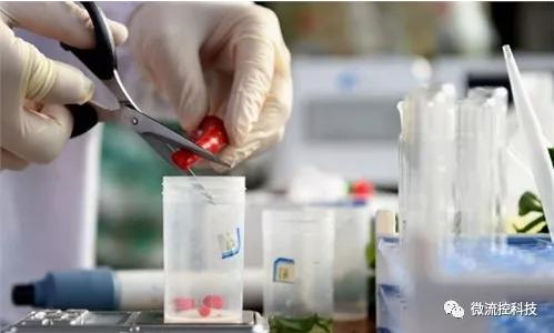 食品安全檢測市場發展趨勢分析 快速檢測市場前景樂觀 食品安全檢測市場發展趨勢分析 快速檢測市場前景樂觀