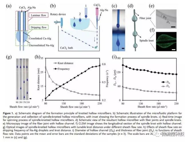 微流控免油紡絲法制備具有不同結點和可灌注通道的仿項鏈微纖維