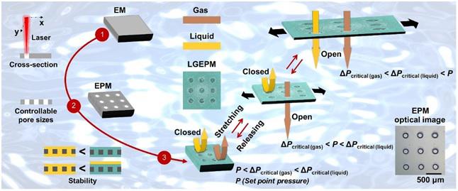 受動物胃粘膜啟發雙門控液體復合高分子膜系統用于開發仿生抗污染微流控新技術