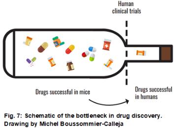 用于藥物發(fā)現(xiàn)的3D體外模型
