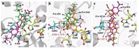 針對該問題，上海交通大學楊廣宇研究員團隊建立了基于雙通道液滴微流控技術的酶立體選擇性超高通量篩選方法，能夠在微液滴中以高達每天107個突變體的速度同時檢測目標酶對兩種對映體底物的催化活性，并高效分選出陽性個體。
