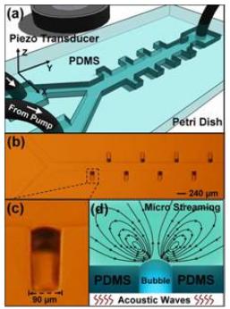 超聲主動微流體混合