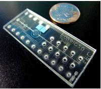 聚合物微流控芯片 聚合物微流控芯片