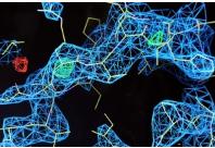 芯片實驗室與分子生物學 芯片實驗室與分子生物學