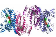 芯片實驗室和蛋白質組學 芯片實驗室和蛋白質組學