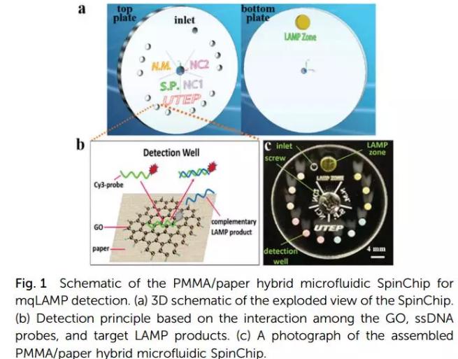紙基聚合物基混合可旋轉微流控芯片實現多種傳染性疾病的及時定量診斷
