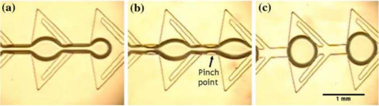 圖4：顯示由于微流體裝置中特別設計的通道幾何形狀而在油中形成水滴的圖像。（a）顯示水流通過狹窄的通道夾點時存在較薄的流體流。（b）示出了在水流停止之后，夾點中的水變得不穩定并且開始中斷水的連續性。（c）顯示了所形成的單分散水滴的形成。Wu等人的圖片&nbsp;“靜態條件下微通道中液滴的形成”。