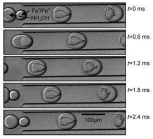 顯示通過氯化鐵溶液液滴與氫氧化銨液滴在通道旁邊的電極施加的電場的影響下形成氧化鐵納米顆粒的圖像。來自Frenz等人的圖片 “用于合成磁性氧化鐵納米粒子的基于液滴的微反應器”