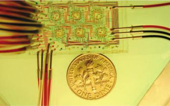 圖1：一種微流體恒化裝置，展示了可以包含在非常小的尺寸內的高密度微流體通道。來自Balagaddé等人的圖片&nbsp;“長期監測在微型恒溫器中進行程序化群體控制的細菌。