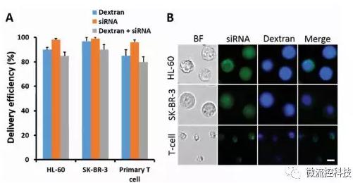 微流控芯片技術(shù)助力免疫治療，將CRISPR體系傳遞到人類T細(xì)胞