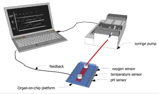 圖1：示意圖顯示了如何使用傳感器連續(xù)監(jiān)測微流體通道內(nèi)的生化參數(shù)。