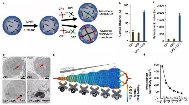 基于微流控芯片的新型的液體活檢技術 基于微流控芯片的新型的液體活檢技術