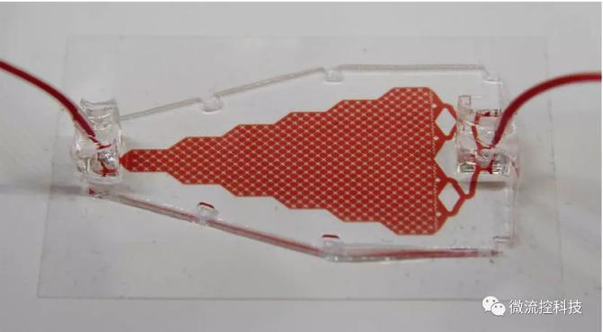 循環腫瘤細胞(CTCs)芯片 循環腫瘤細胞(CTCs)芯片