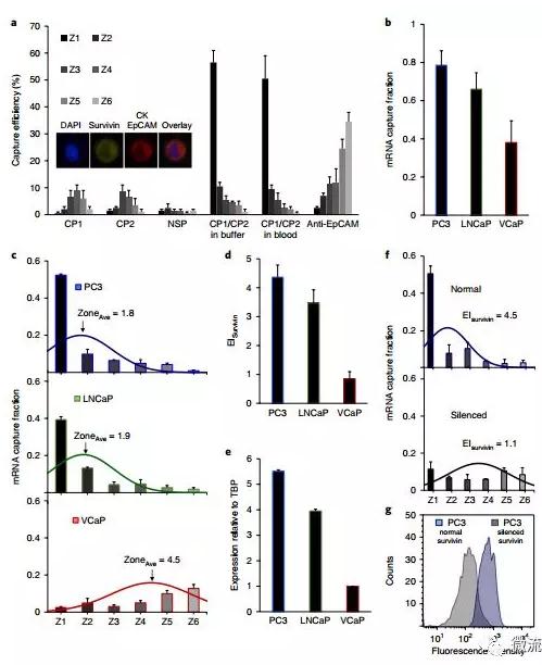 基于微流控芯片的新型液體活檢技術,助力前列腺癌診療 基于微流控芯片的新型液體活檢技術,助力前列腺癌診療