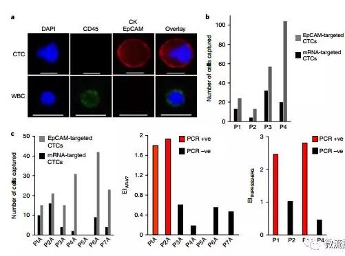 基于微流控芯片的新型液體活檢技術,助力前列腺癌診療 基于微流控芯片的新型液體活檢技術,助力前列腺癌診療