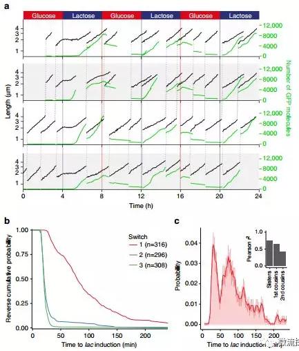 球最小的實(shí)驗(yàn)室, 集成微流控動態(tài)可控監(jiān)測單細(xì)胞基因調(diào)控