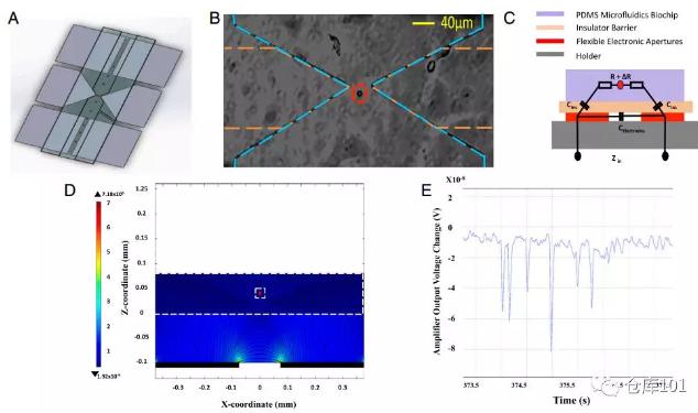圖6. 實時單細胞計數 A)微流控芯片示意圖；B)單個細胞通過電極顯微照相圖；C)等效電路圖；D)單個細胞通過的電勢計算圖；E)6個PMS微球通過的實驗測量電勢圖