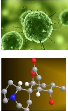 微流控芯片應(yīng)用領(lǐng)域 微流控芯片應(yīng)用領(lǐng)域