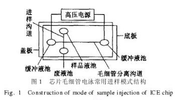 芯片毛細(xì)管電泳常用進(jìn)樣模式結(jié)構(gòu) 芯片毛細(xì)管電泳常用進(jìn)樣模式結(jié)構(gòu)