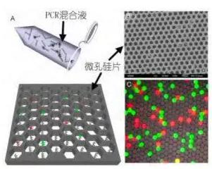 基于微孔芯片的數字 PCR 檢測