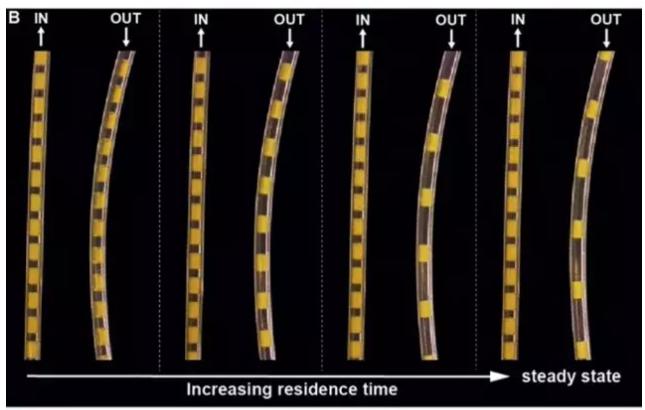 光催化多相連續(xù)氟化反應