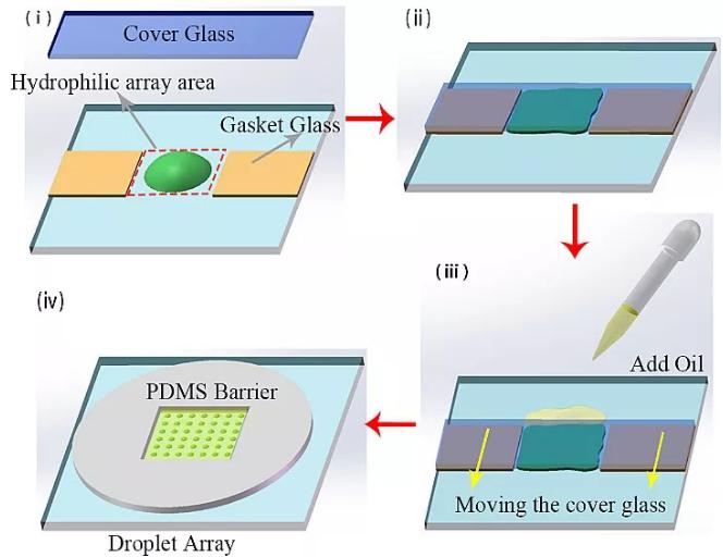 圖1. 油蓋水型液滴陣列制備步驟的示意圖 圖1. 油蓋水型液滴陣列制備步驟的示意圖