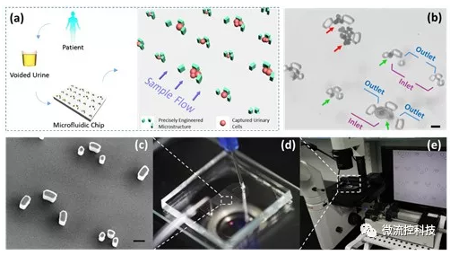 微流控技術在膀胱癌無創檢測領域取得重要進展 微流控技術在膀胱癌無創檢測領域取得重要進展