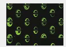 微渦旋上的微珠軌道 微渦旋上的微珠軌道