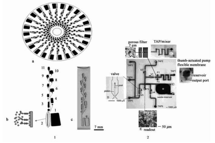 酶聯(lián)免疫(ELISA) 衍生反應(yīng)微流控裝置[