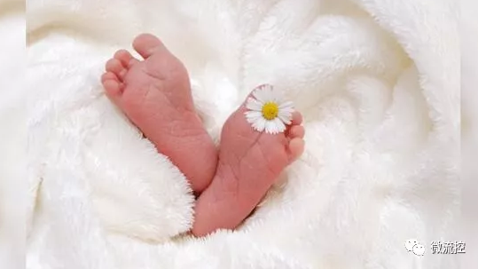 微流控技術結合心博拯救新生兒 微流控技術結合心博拯救新生兒