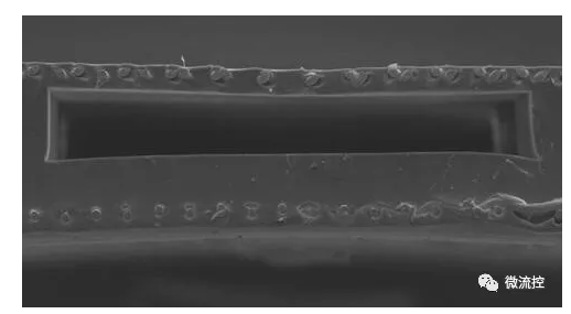 雙面單氧和器單元的電子顯微鏡掃描圖像 雙面單氧和器單元的電子顯微鏡掃描圖像