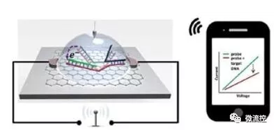 基于石墨烯的SNP檢測(cè)芯片將信號(hào)無線傳輸?shù)街悄苁謾C(jī)