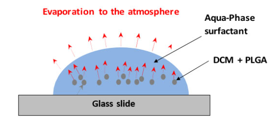 顯示DCM從液滴通過連續相進入大氣的傳輸路線的代表性圖表