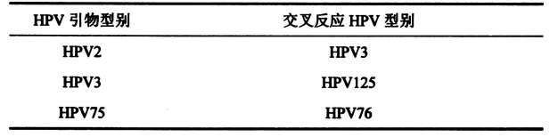 表2皮膚低危型別組內(nèi)出現(xiàn)交叉反應(yīng)的HPV型別