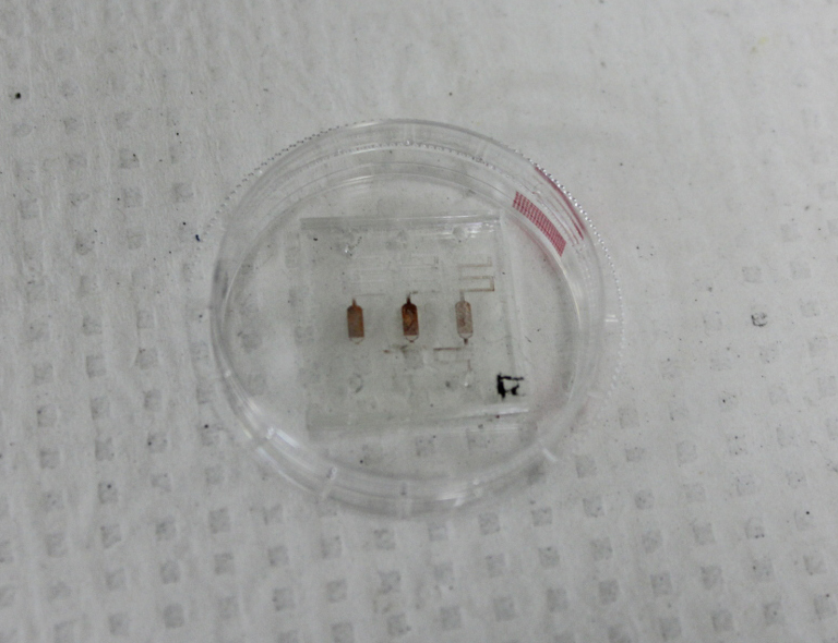 1534466875869457.png 圖片1.png