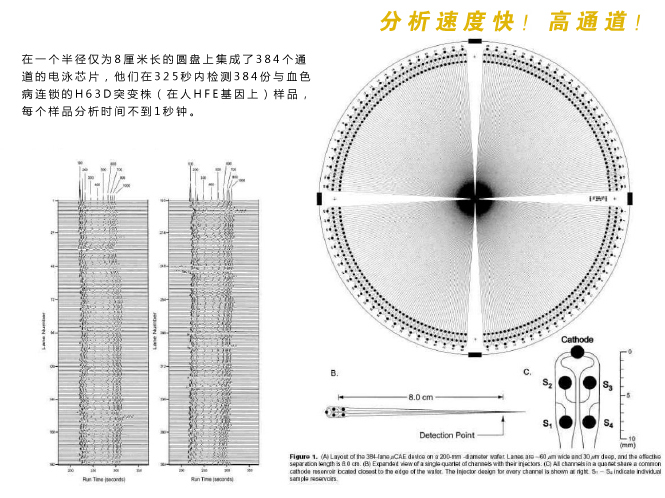 微流控芯片實驗室分析檢測速度快，具有高通道等特性。