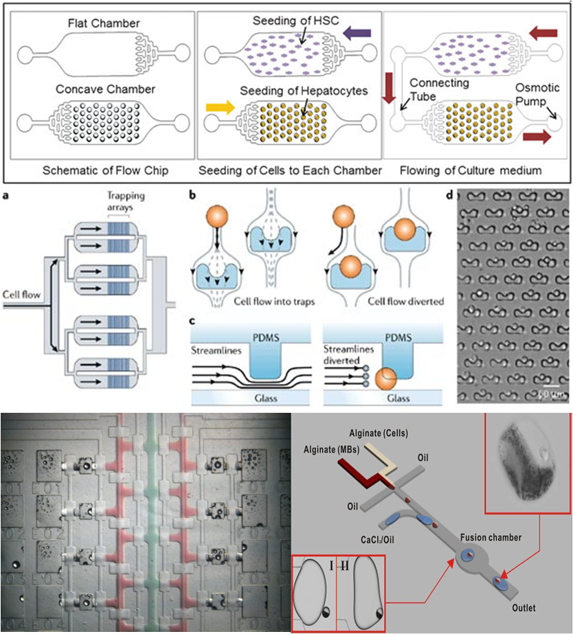 生物芯片 - 細胞分析芯片