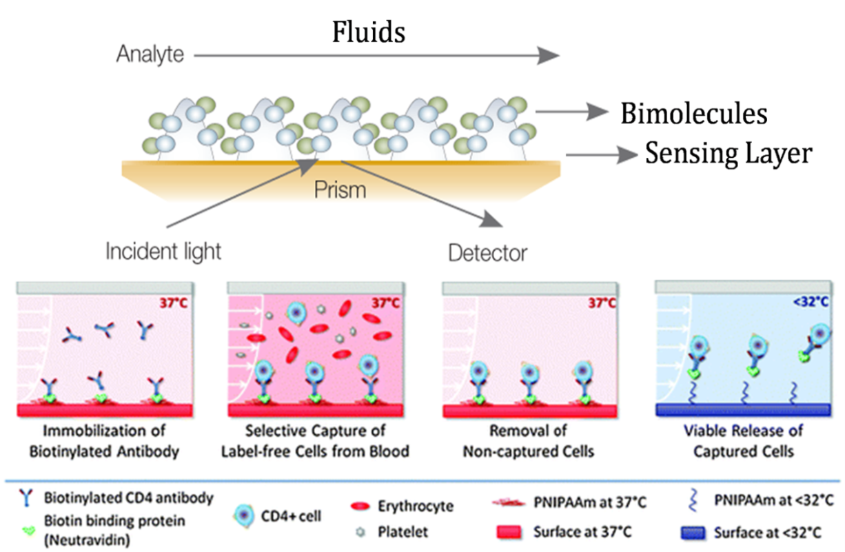 生物芯片 - 生物分子間相互作用 生物芯片 - 生物分子間相互作用