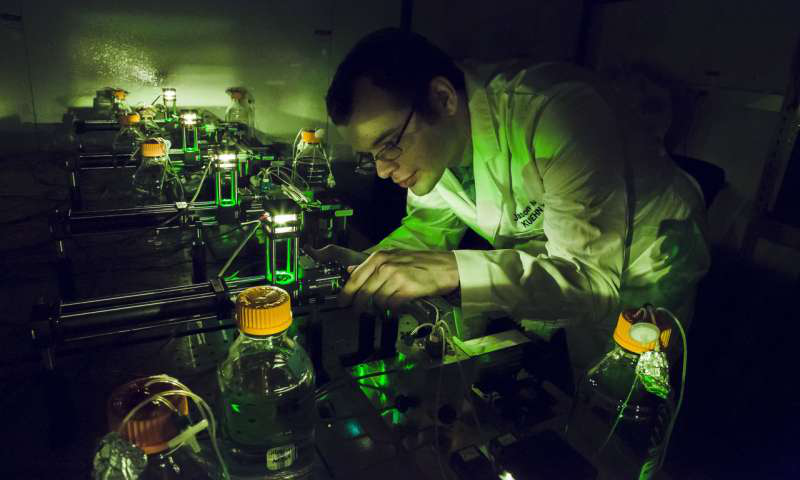 物理學(xué)研究生Jason Merritt在伊利諾伊州厄巴納的Loomis物理實(shí)驗(yàn)室Kuehn實(shí)驗(yàn)室研究他的自動(dòng)化細(xì)菌種群取樣裝置。來(lái)自伊利諾伊大學(xué)厄巴納 - 香檳分校的L. Brian Stauffer