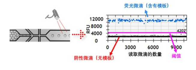 微滴的相對熒光值進行記錄