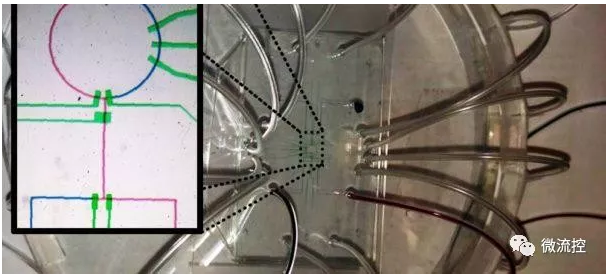 微流體生物芯片可處理微量的流體，經(jīng)常與傳感器和智慧控制演算法等“連網(wǎng)”元素結(jié)合，以提高性能和可靠性，但也因此遭受安全威脅（來(lái)源：NYU)