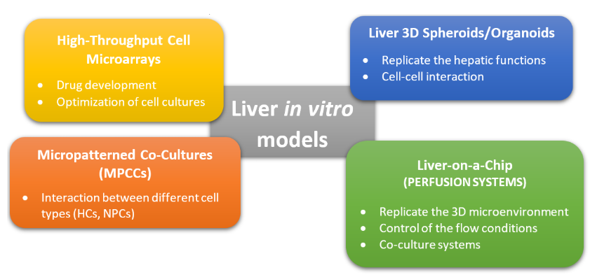 圖2.肝臟體外模型的常用方法的圖形表示。這些方法可分為非灌注系統（MPCC，3D球體）和灌注系統（肝臟上芯片），而高通量細胞微陣列通常用于藥物篩選和開發[2] [10]。