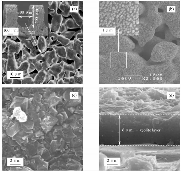 圖2不銹鋼微通道內表面、引入晶種以及沸石生長成膜的電鏡照片