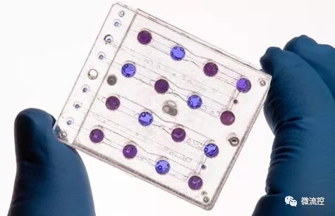 小衛星“BioSentinel”攜帶微流控進入深太空，開展空間輻射研究