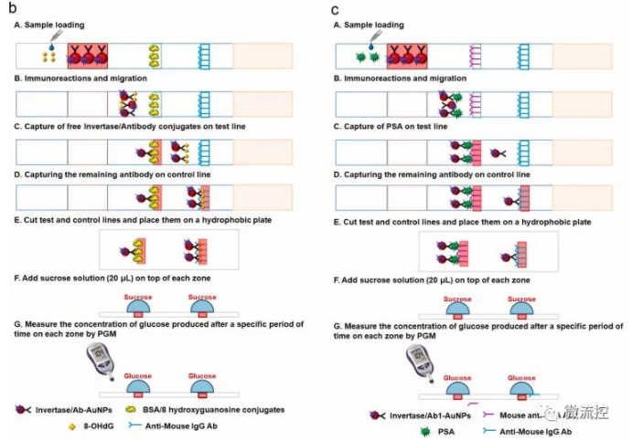 “微流控+智能手機血糖儀” 打造非血糖分子檢測平臺，量化評估DNA過氧化損傷