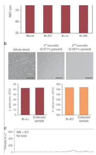 使用微流控整體裝置從血液中分離完整細菌 使用微流控整體裝置從血液中分離完整細菌
