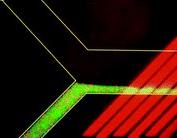 微流控光學檢測技術