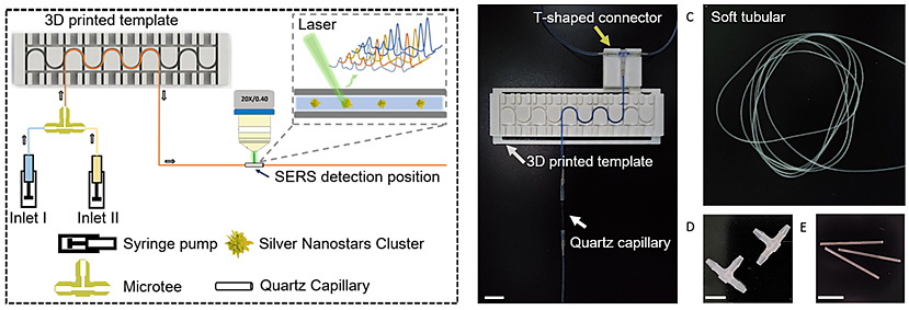 基于軟管微流控的動態(tài)流體SERS平臺用于無標記細胞檢測